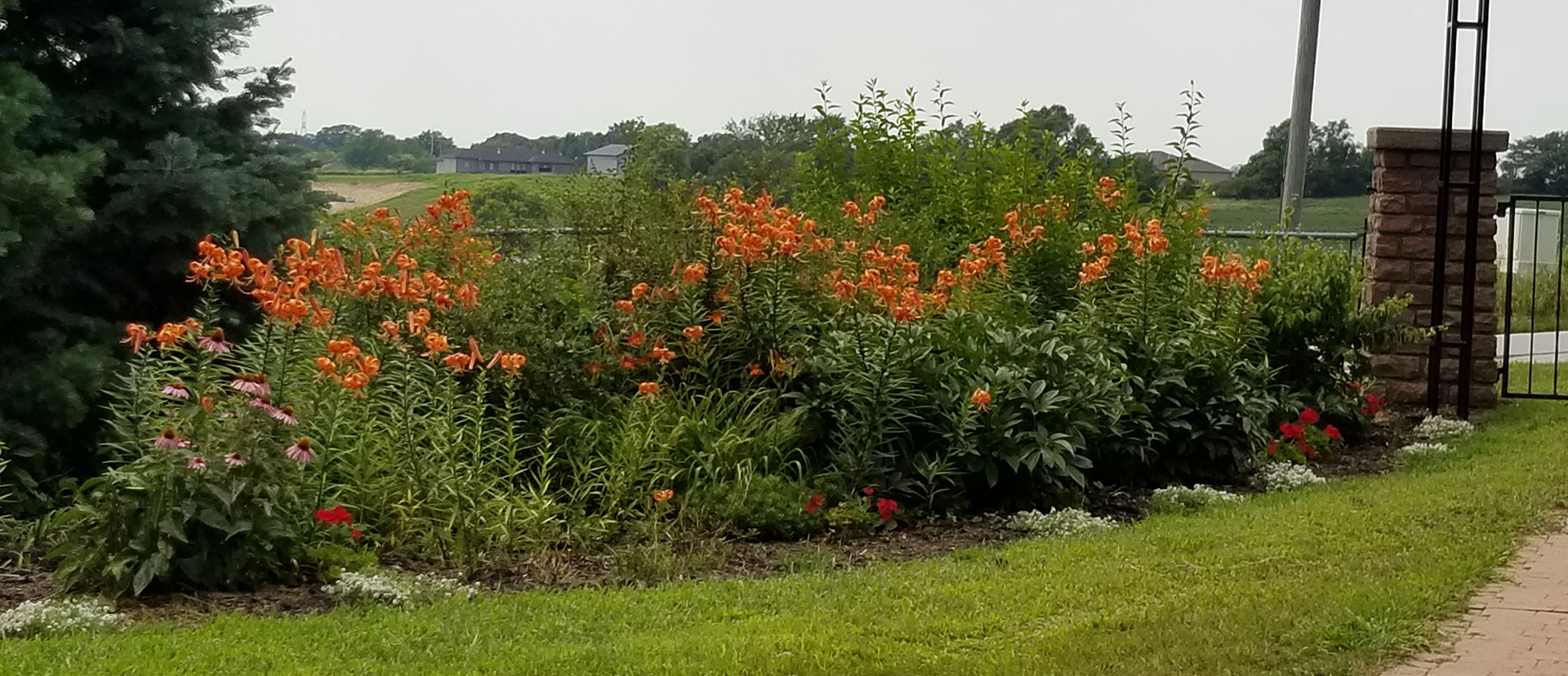 Flowers at Allen Pioneer Cemetery